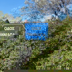 Ενοικίαση αγροτεμαχίου  Μαρκόπουλο Μεσογαίας (Θέση Γιαννιαπάς)