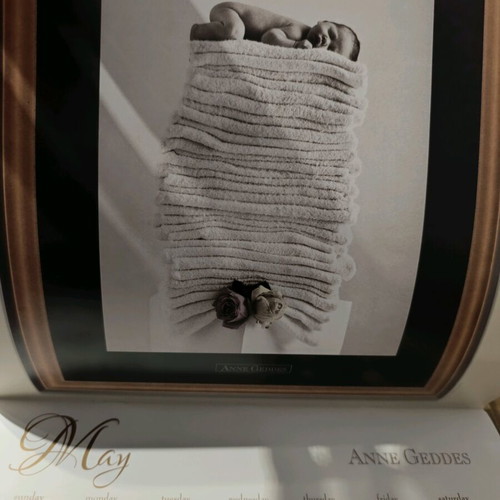 Anne Geddes 2009 calendar like new with photographic material