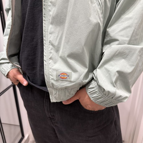 Dickies jacket new, turquoise, medium size