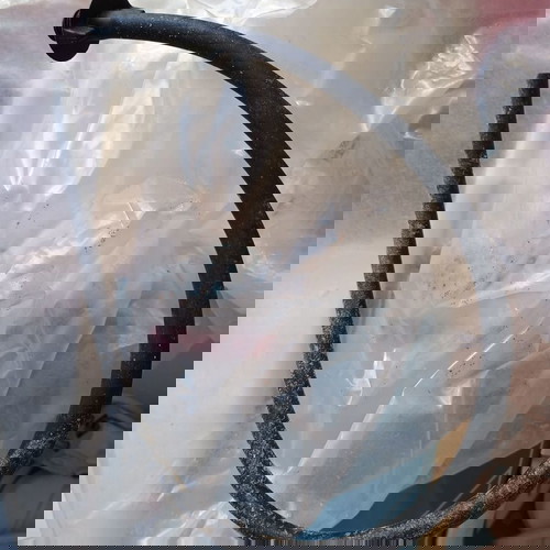 Парна преса Singer SP2500 BXN употребявана, много добро състояние