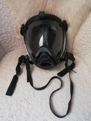 Gas mask with panoramic polycarbonate visor, industrial or firefighting use
