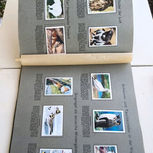 Die Welt in Bildern album used, 1930 edition with Olympic Games
