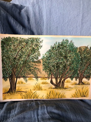 Watercolour painting of olives new, size 21x29
