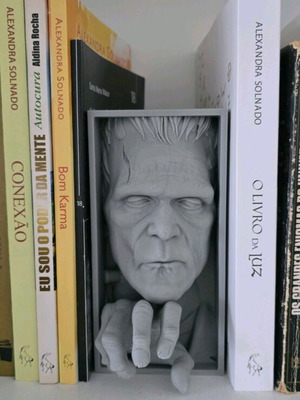 Frankenstein book nook like new