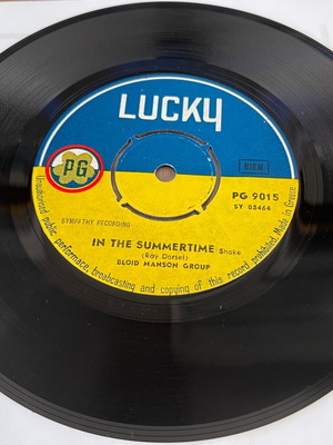 Bloid Manson Group In The Summertime 45 vinyl record used