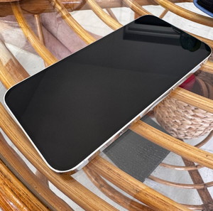 iPhone 12 Pro Max 256 GB λευκό