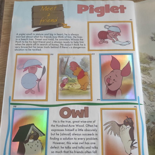 Panini album Winnie the Pooh used with poster and fabric stickers