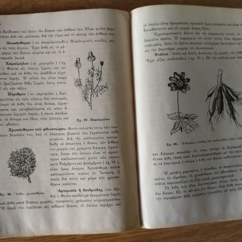 Phytologia Textbook 1964 used for Gymnasium 2nd Grade