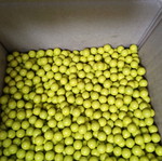 Paintballs 0.50 cal with a problem.