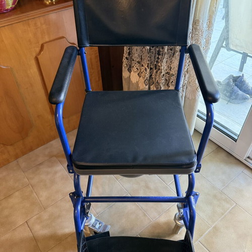 Bathroom wheelchair with bucket and cushion