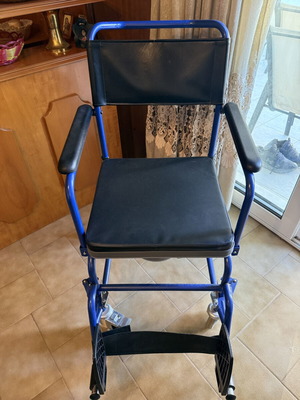 Bathroom wheelchair with bucket and cushion