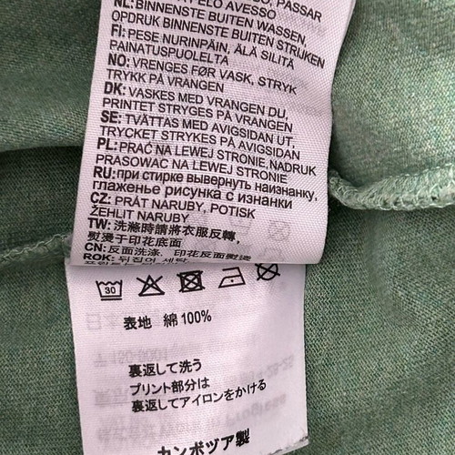 Carhartt Short Sleeve University Script T-Shirt like new, green, size M