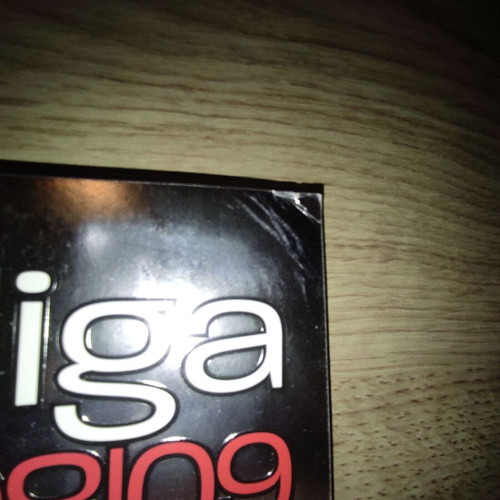 Panini album Bundesliga 2008-2009 used
