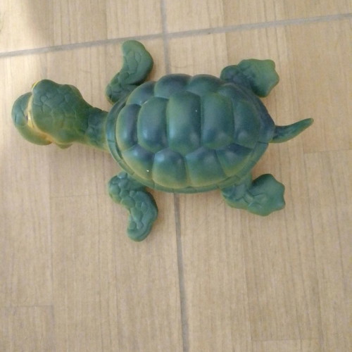 Turtle toy used, suitable for water play