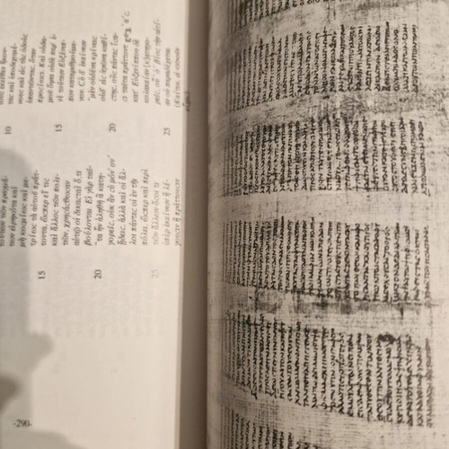 Papyrology book new, Greek