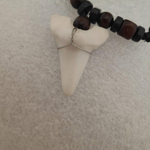 Shark Tooth Pendant Necklace like new, surfer style