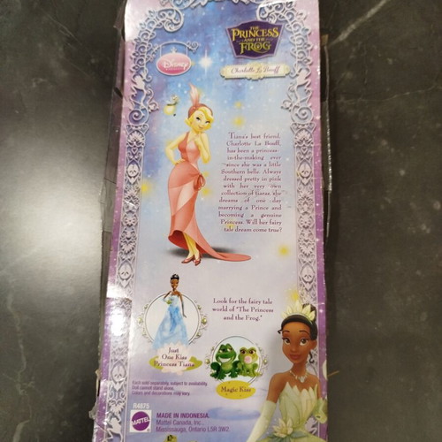 Disney Princess Tiana doll used, without shoes