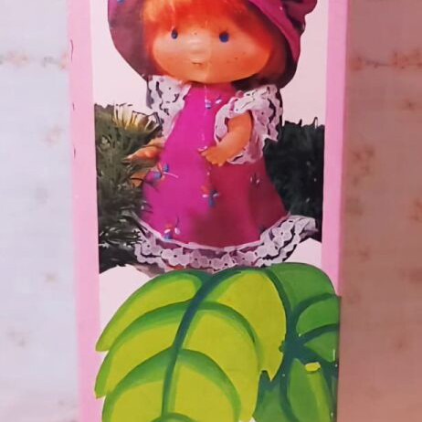 Strawberry Shortcake Lyra doll new with polka dot dress and poster