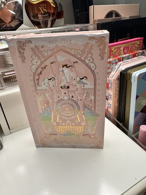 Plouise I Still Believe Palette new