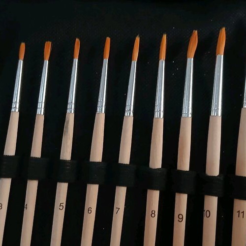Set of paintbrushes in case unused