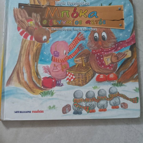 Boka the Brave Eagle like new children's book