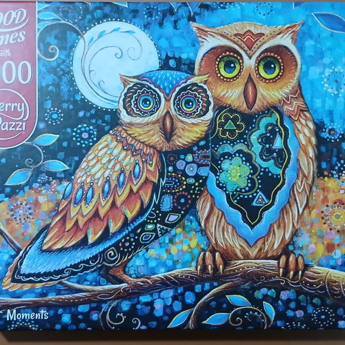 Cherry Pazzi Moonlit Moments puzzle 2000 pieces used