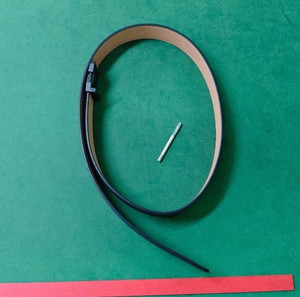luis Vuitton belt