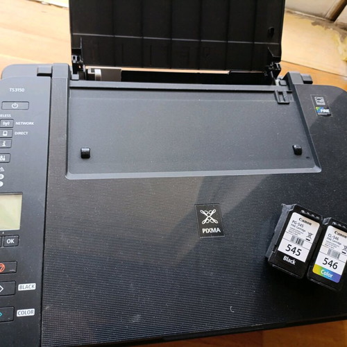 Canon printer used with two almost new ink cartridges