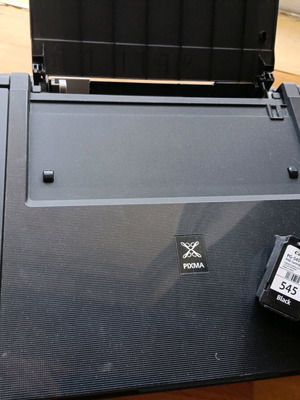 Canon printer used with two almost new ink cartridges