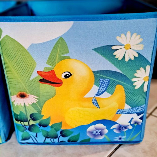 Children's storage boxes used, set of 2 with duck designs