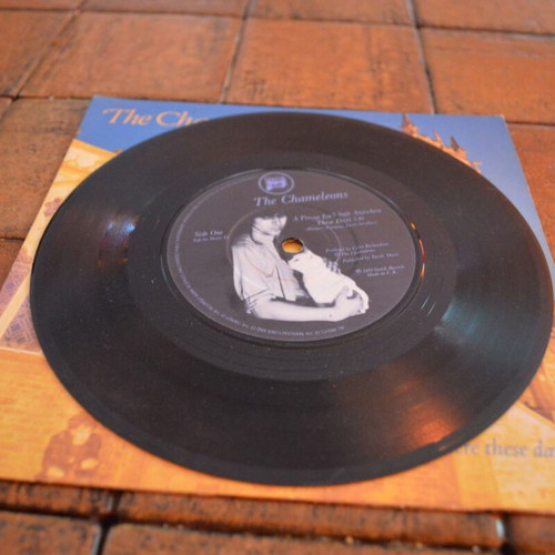 The Chameleons 7'' Single Like New, A Person Isn't Safe Anywhere These Days