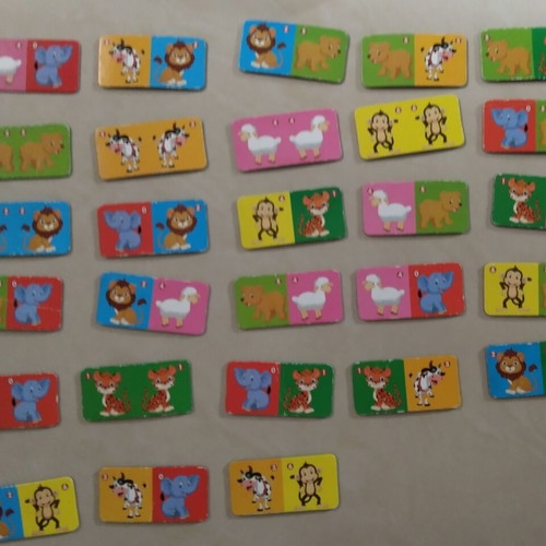 Domino board game used, animal memory