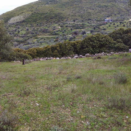 Land 18 acres with olive and mastic trees in Chios, buildable