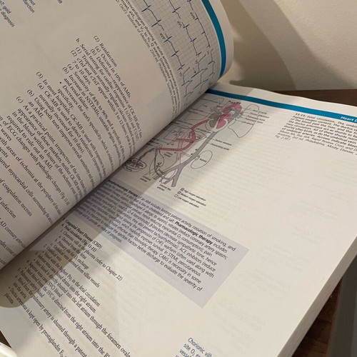 Rapid Review Pathology book used, Fourth Edition
