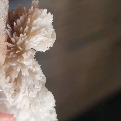 Asvestitis new, Greek specimen for collection
