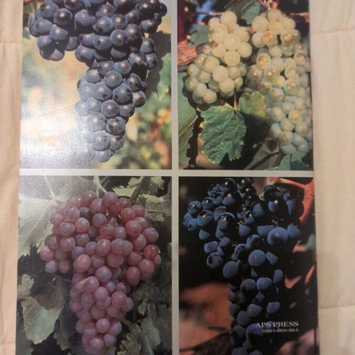 Compedium of Grape Diseases book like new