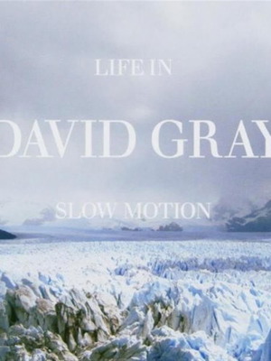 David Gray Slow Motion CD used