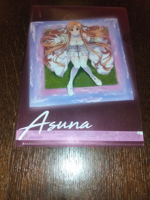 Small anime folder 21x17cm like new