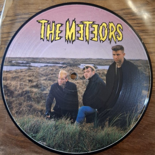 The Meteors 45 RPM picture disc like new