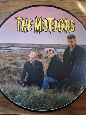 The Meteors 45 RPM picture disc like new