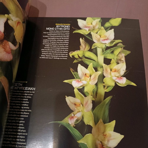 Photo book Wild Flowers like new, album