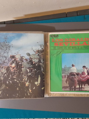Rare 45 RPM record collection like new with folk music