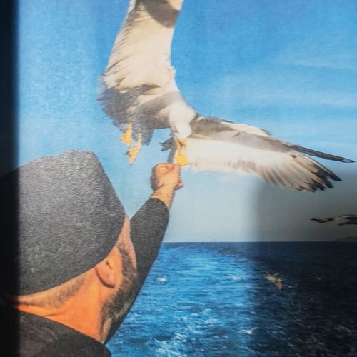 Agion Oros book new, rare, collectible