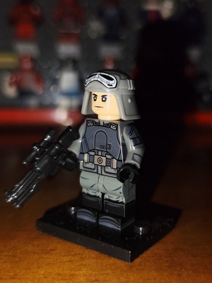 Imperial Army Trooper Star Wars minifigure
