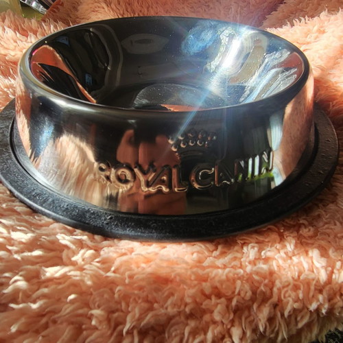 Metal cat or small dog bowl new, 13.5 cm diameter
