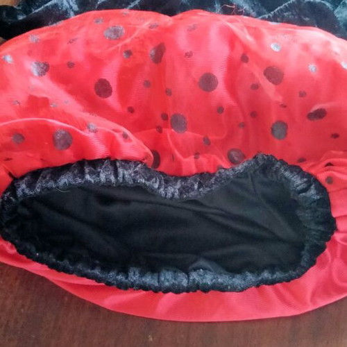 Baby costume Ladybug 12-18 months like new