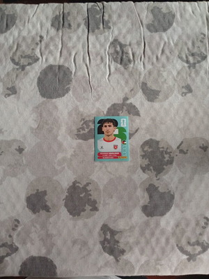 FIFA World Cup 2026 JOR 8 sticker
