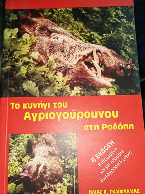 The Hunt of the Wild Boar in Rhodope like new