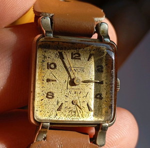 Vintage Venus