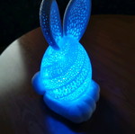 Easter Bunny Egg Lamp like new